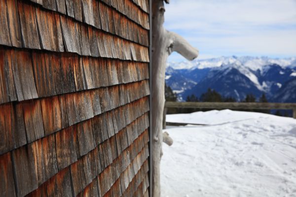 Cedar Siding Repair in Overland Park